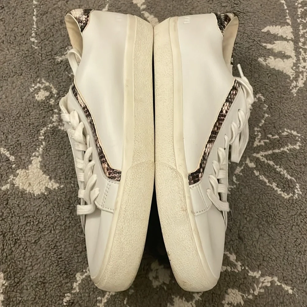 Madewell Sidewalk Low-Top Sneakers in Snake Embossed Leather